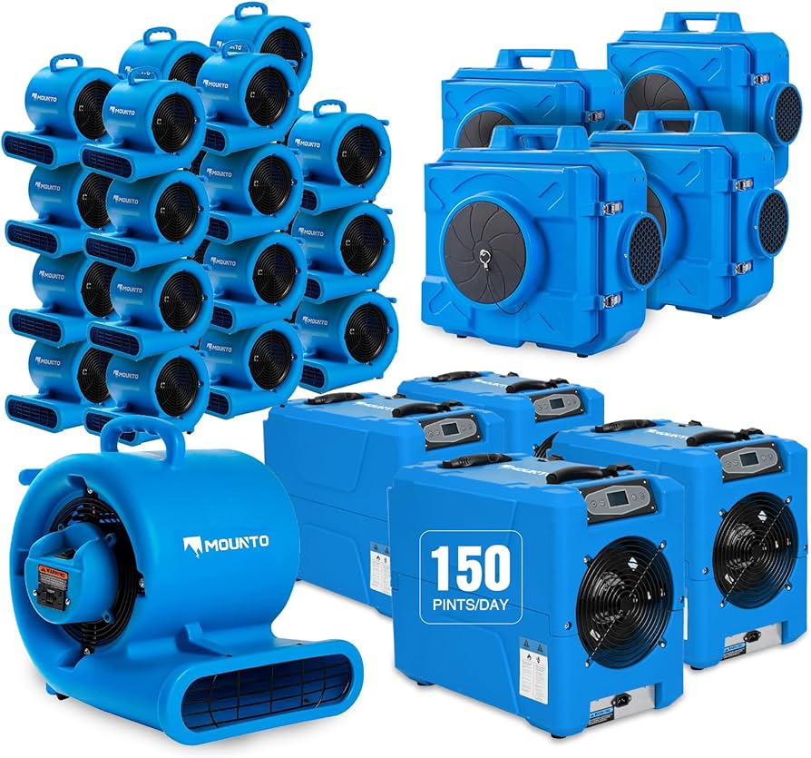 Emergency Moisture Removal