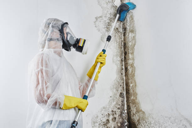 Mold Prevention